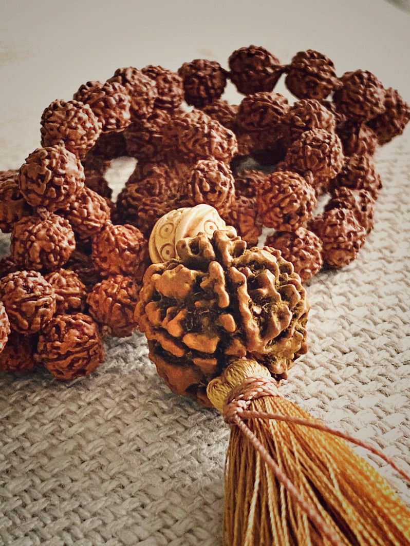 M201 - Sacred Seeds