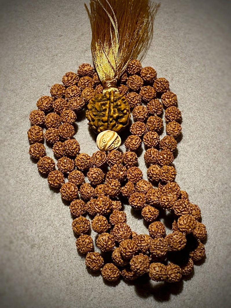 M201 - Sacred Seeds