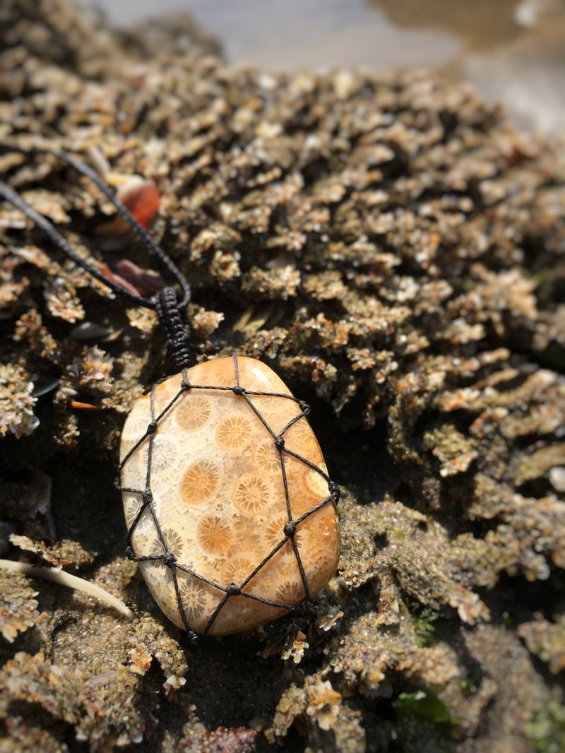 Z007 - Fossile Koralle in Makramee