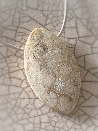 K155 - Fossile Koralle II