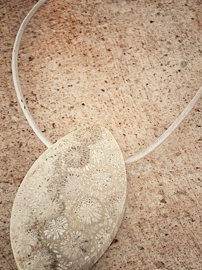 K155 - Fossile Koralle II