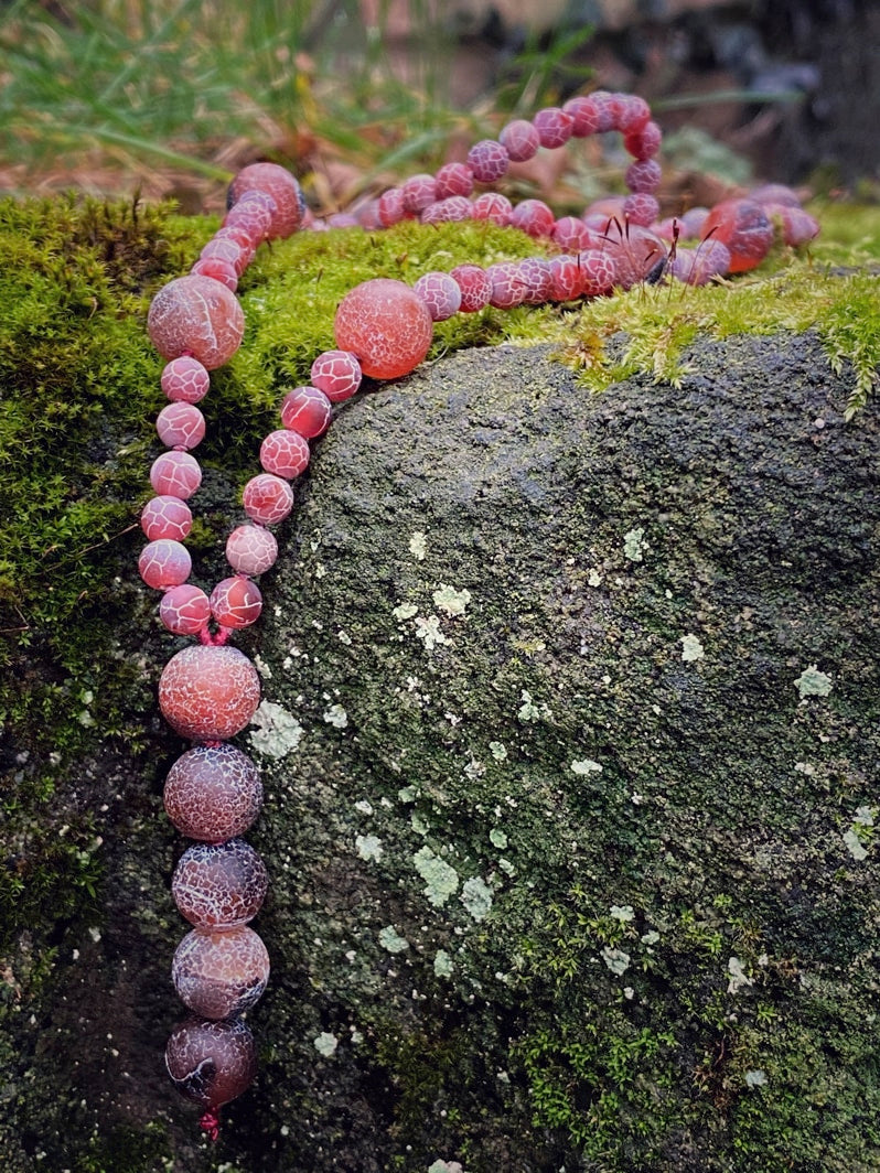 M193 - Solution Finders