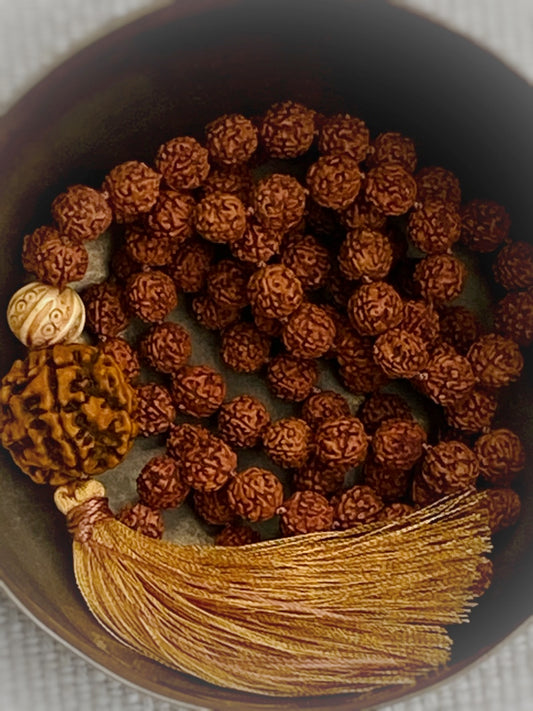 M201 - Sacred Seeds