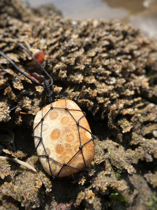 Z007 - Fossile Koralle in Makramee