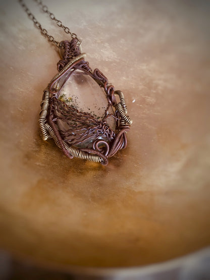Z079 - Moosachat in Wirework